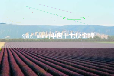 钦州中国十七块金牌