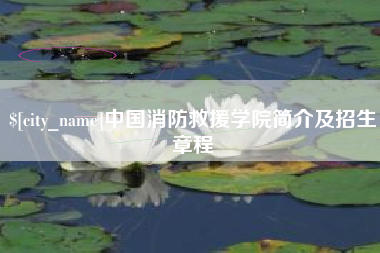 钦州中国消防救援学院简介及招生章程