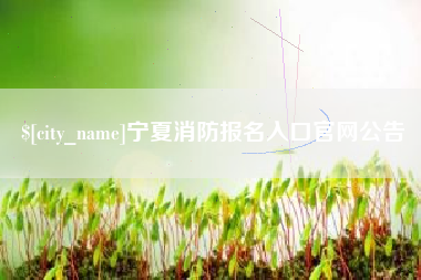 钦州宁夏消防报名入口官网公告