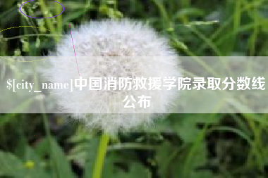 钦州中国消防救援学院录取分数线公布