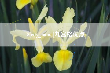 钦州九宫格优点