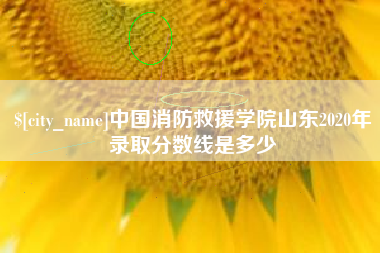 钦州中国消防救援学院山东2020年录取分数线是多少