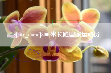 钦州5000米长跑国家运动员