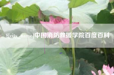 钦州中国消防救援学院百度百科