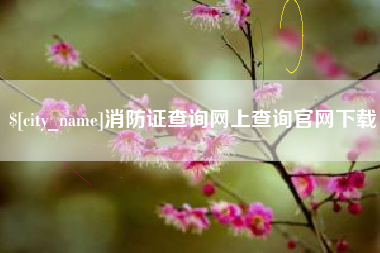 钦州消防证查询网上查询官网下载