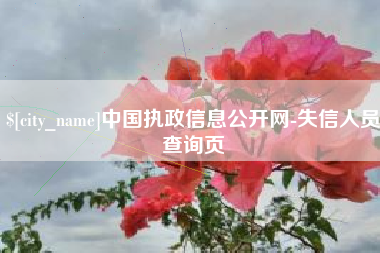 钦州中国执政信息公开网-失信人员查询页
