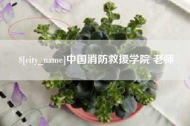 钦州中国消防救援学院 老师