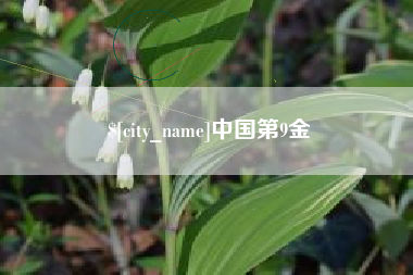 钦州中国第9金