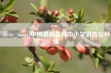 钦州中国消防官网中小学消防公开课