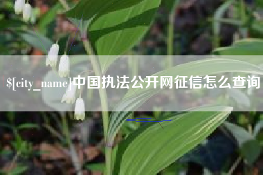 钦州中国执法公开网征信怎么查询
