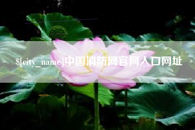 钦州中国消防网官网入口网址