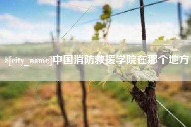 钦州中国消防救援学院在那个地方
