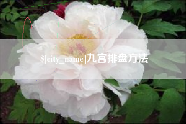 钦州九宫排盘方法