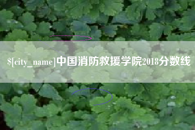 钦州中国消防救援学院2018分数线