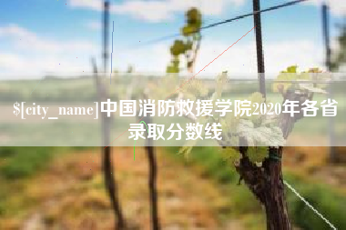 钦州中国消防救援学院2020年各省录取分数线