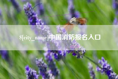 钦州中国消防报名入口