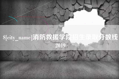 钦州消防救援学院招生录取分数线2019