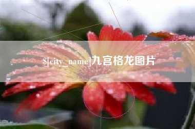钦州九宫格龙图片