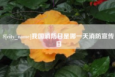 钦州我国消防日是哪一天消防宣传日