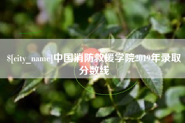 钦州中国消防救援学院2019年录取分数线