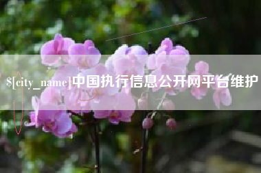 钦州中国执行信息公开网平台维护