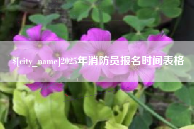 钦州2025年消防员报名时间表格