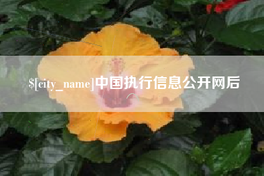 钦州中国执行信息公开网后
