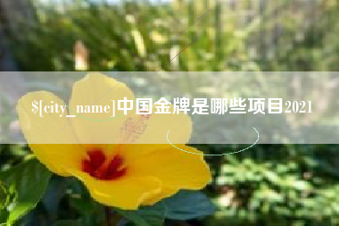 钦州中国金牌是哪些项目2021