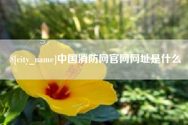 钦州中国消防网官网网址是什么