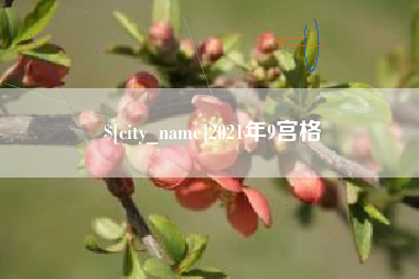 钦州2021年9宫格