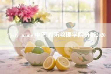 钦州中国消防救援学院分数2020