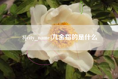 钦州九金指的是什么