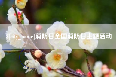 钦州消防日全国消防日主题活动