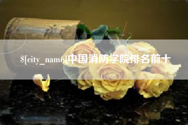 钦州中国消防学院排名前十