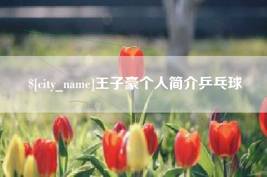 钦州王子豪个人简介乒乓球