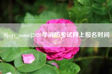 钦州2020年消防考试网上报名时间