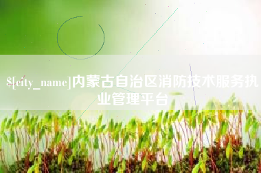 钦州内蒙古自治区消防技术服务执业管理平台