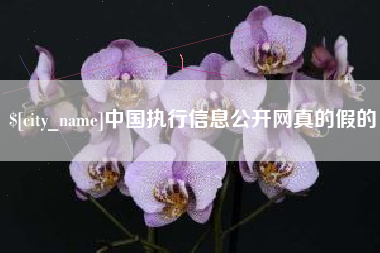 钦州中国执行信息公开网真的假的
