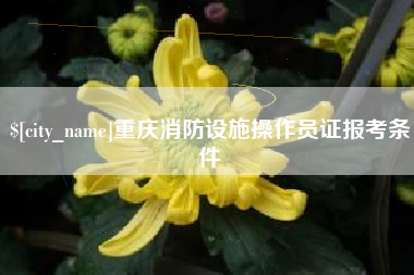 钦州重庆消防设施操作员证报考条件