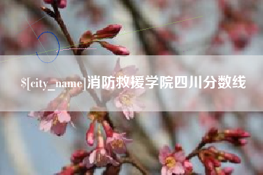钦州消防救援学院四川分数线
