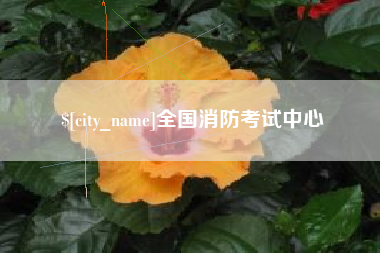 钦州全国消防考试中心