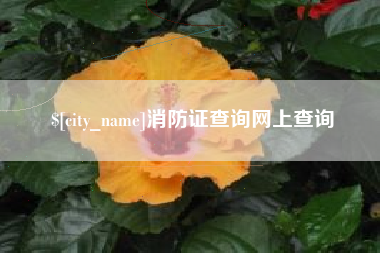 钦州消防证查询网上查询