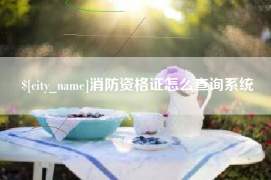 钦州消防资格证怎么查询系统