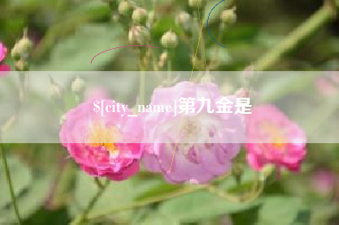 钦州第九金是