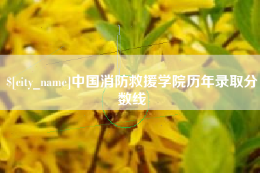 钦州中国消防救援学院历年录取分数线