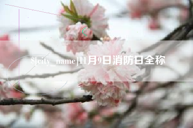 钦州11月9日消防日全称