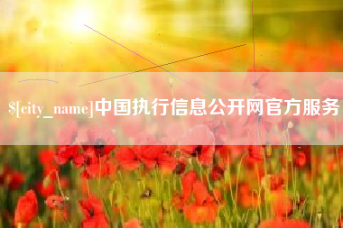 钦州中国执行信息公开网官方服务