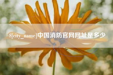 钦州中国消防官网网址是多少