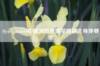 钦州中国消防救援学院招生身体要求