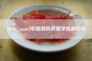 钦州中国消防救援学院副院长